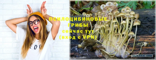 MESCALINE Коряжма